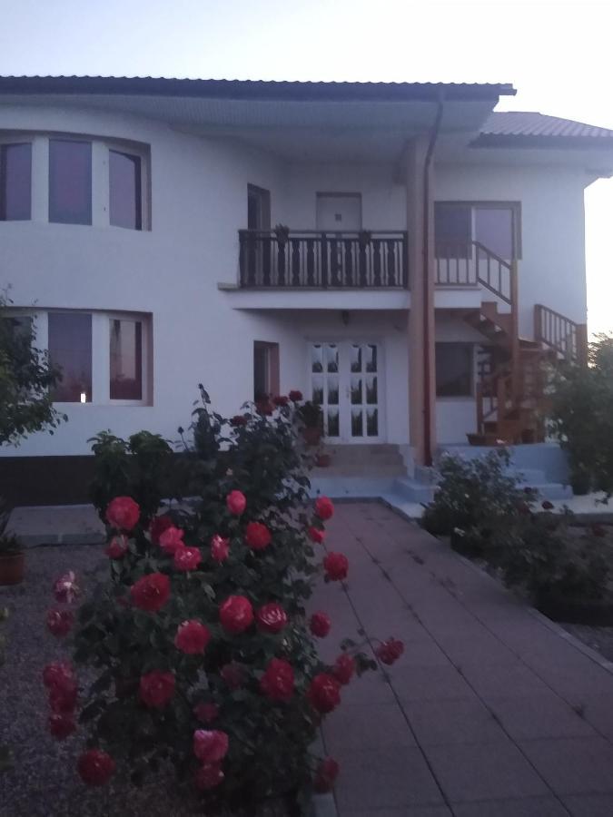 Отель Casa Doina Дуэзечи-ши-Трей Аугуст Экстерьер фото