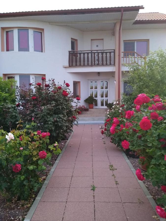 Отель Casa Doina Дуэзечи-ши-Трей Аугуст Экстерьер фото