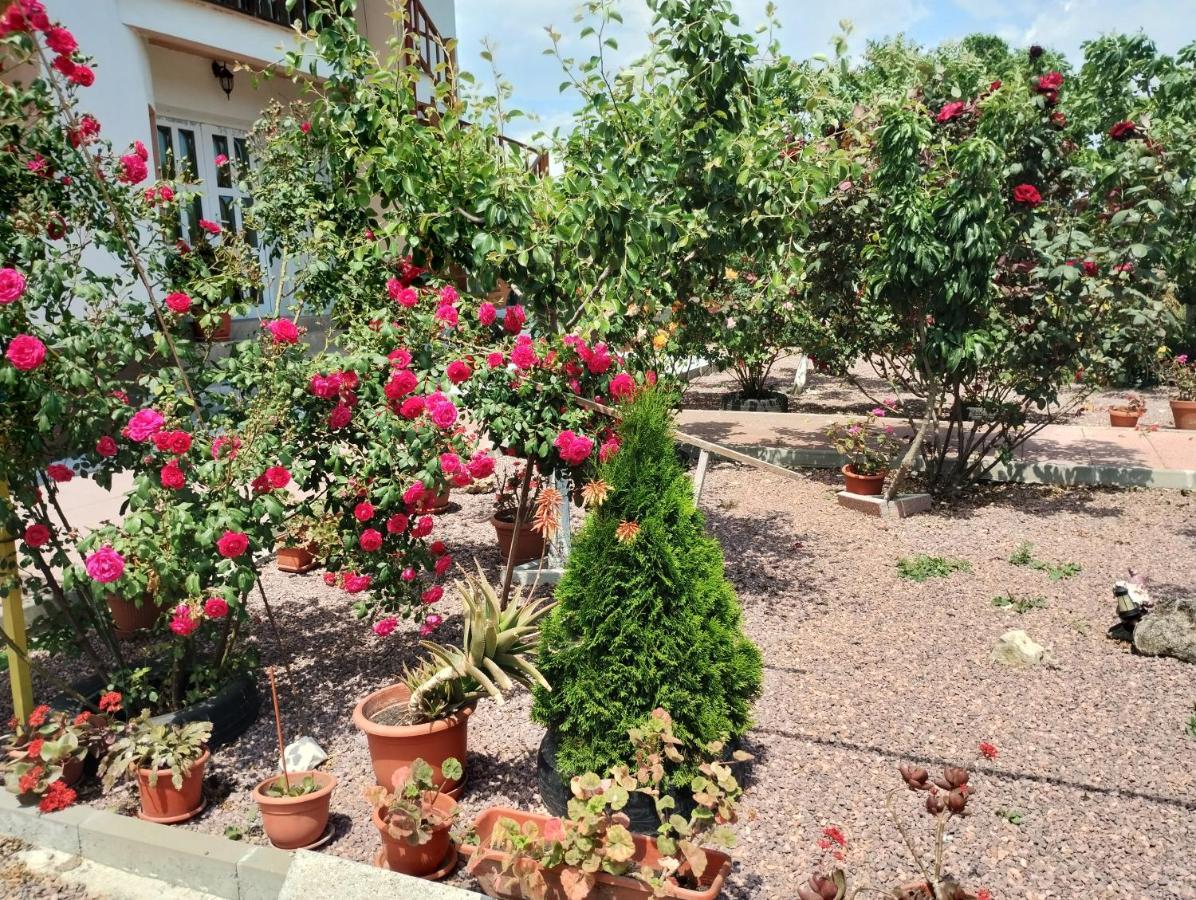 Отель Casa Doina Дуэзечи-ши-Трей Аугуст Экстерьер фото
